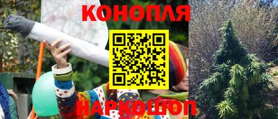 бошки Вязьма