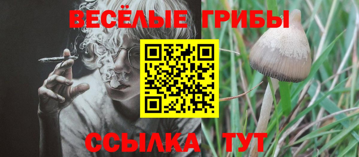 Галлюциногенные грибы прущие грибы Богданович