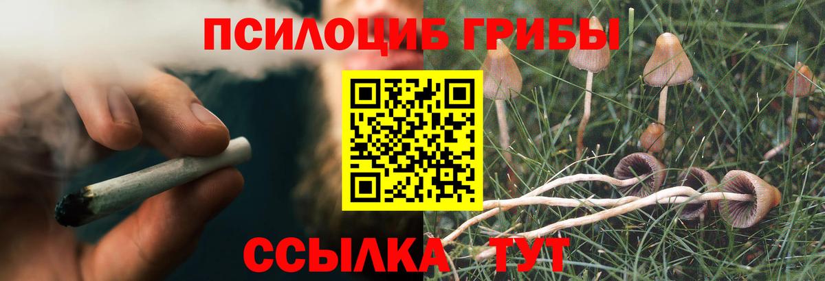 Псилоцибиновые грибы Psilocybe  Вход с VPN  Богданович 