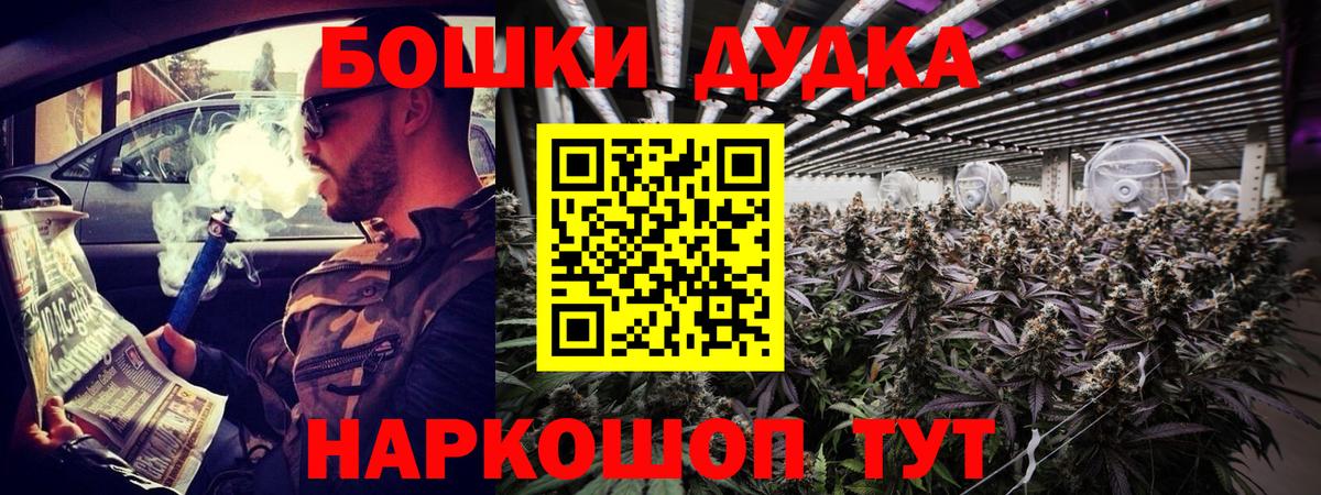 Каннабис Bruce Banner  Вход с VPN  МАРИХУАНА ГИДРОПОН  Каннабис индика  Богданович  Бошки марихуана план 