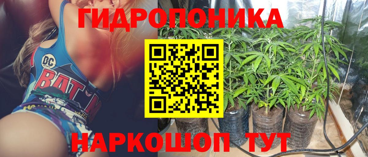 Конопля Bruce Banner Богданович
